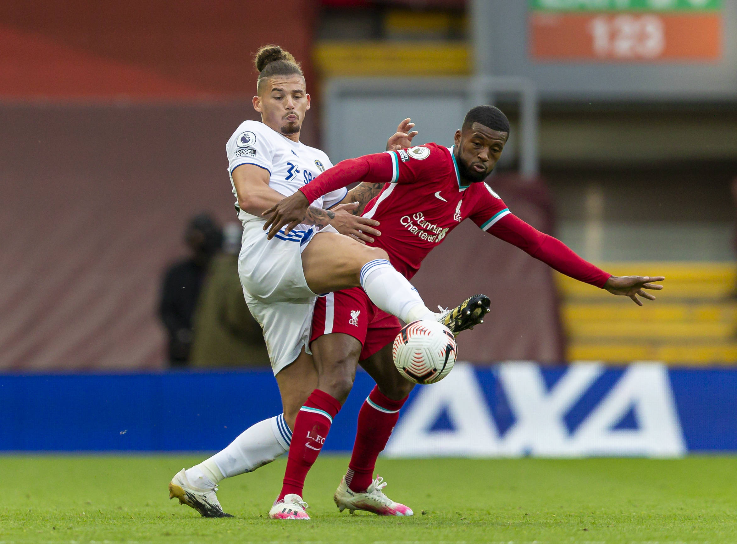 他在去年选 他在去年选